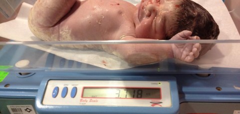שכבת ה"וורניקס" על גופו של תינוק שרק נולד